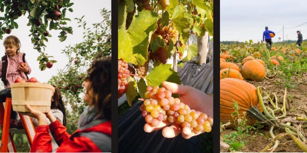 Automne célébré en Chaudière-Appalaches!