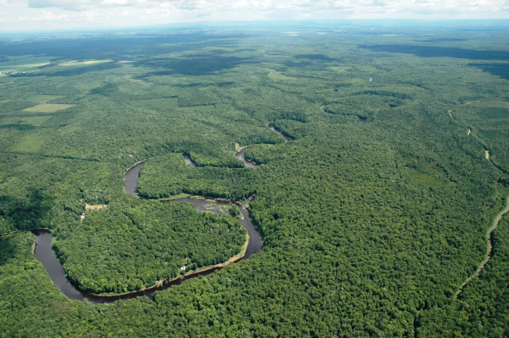 De belles annonces pour la MRC de Lotbinière : l’aide financière pour le Domaine Joly-De Lotbinière et la nouvelle aire protégée dans la Forêt de la Seigneurie de Lotbinière