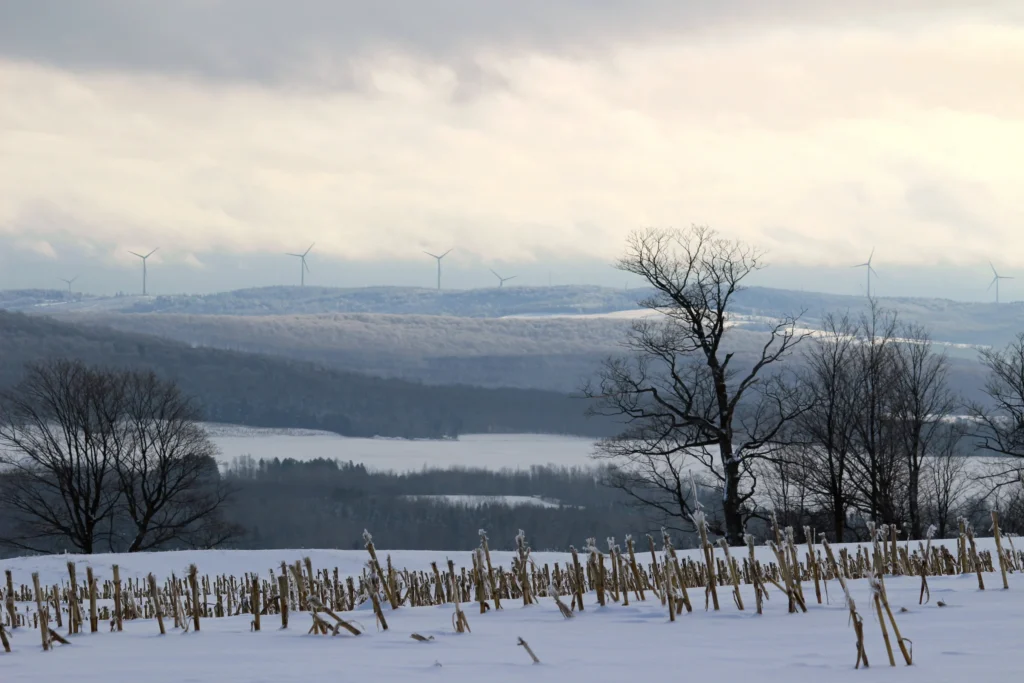 Énergie éolienne : la MRC de Lotbinière se joint au Connectif des sommets