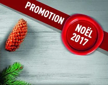 Livres en promotion pour Noël 2017