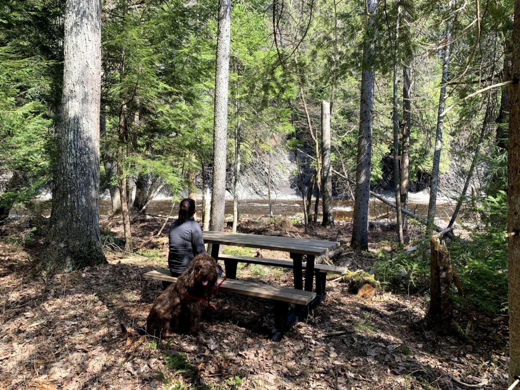 Plusieurs nouveautés aux sentiers du secteur des Trois-Fourches dans la Forêt de la Seigneurie de Lotbinière