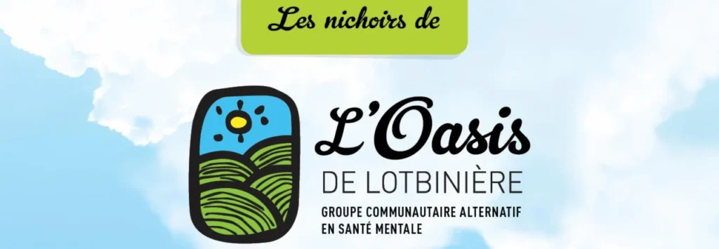 Vente des nichoirs d’hirondelles bicolores/merlebleus de l’est par L’Oasis de Lotbinière