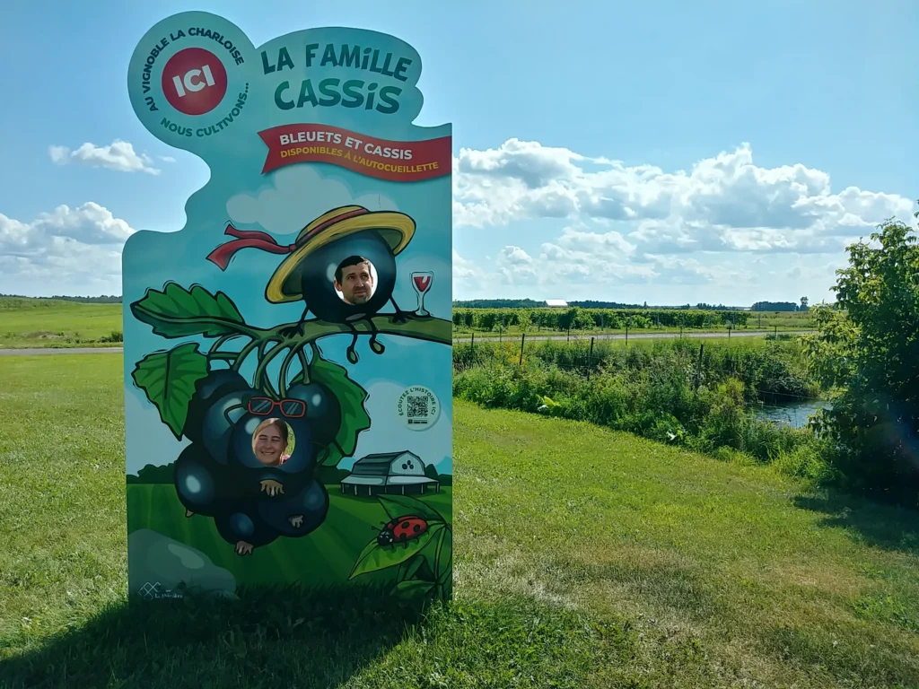 Vivez l’autocueillette en Chaudière-Appalaches cet automne!