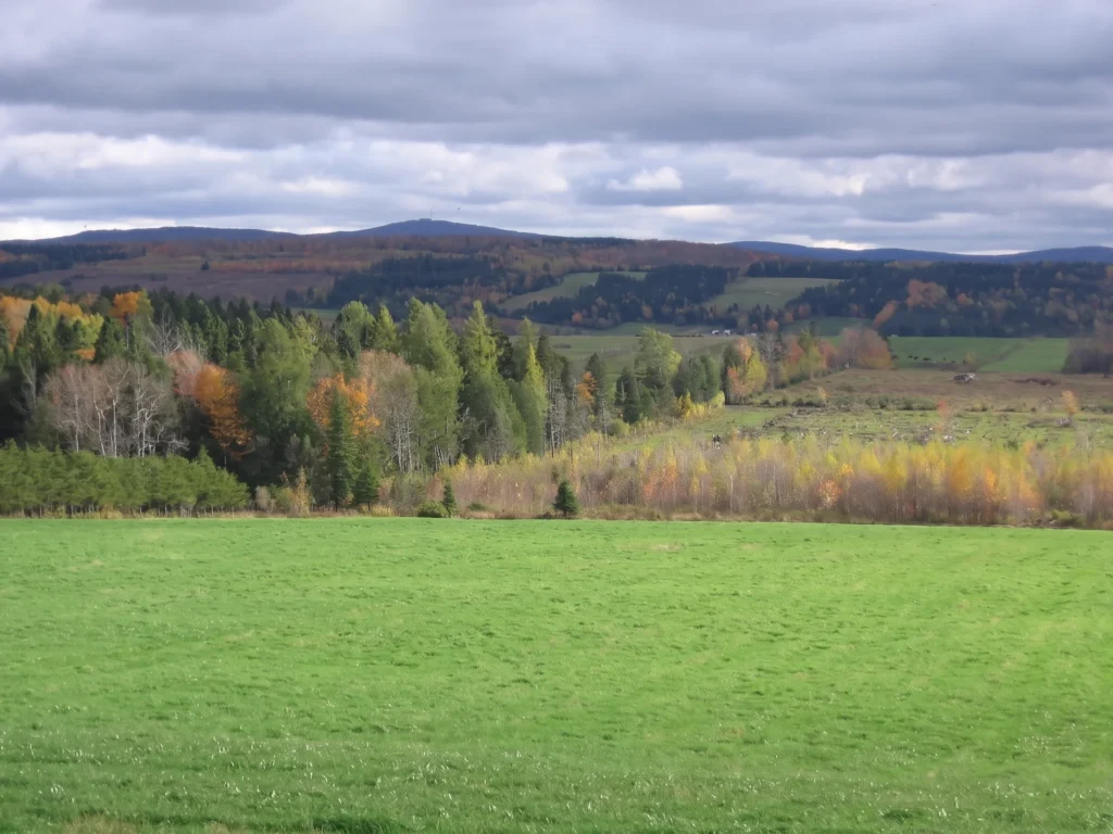 Les buttes de Saint-Sylvestre dans les basses collines des Appalaches