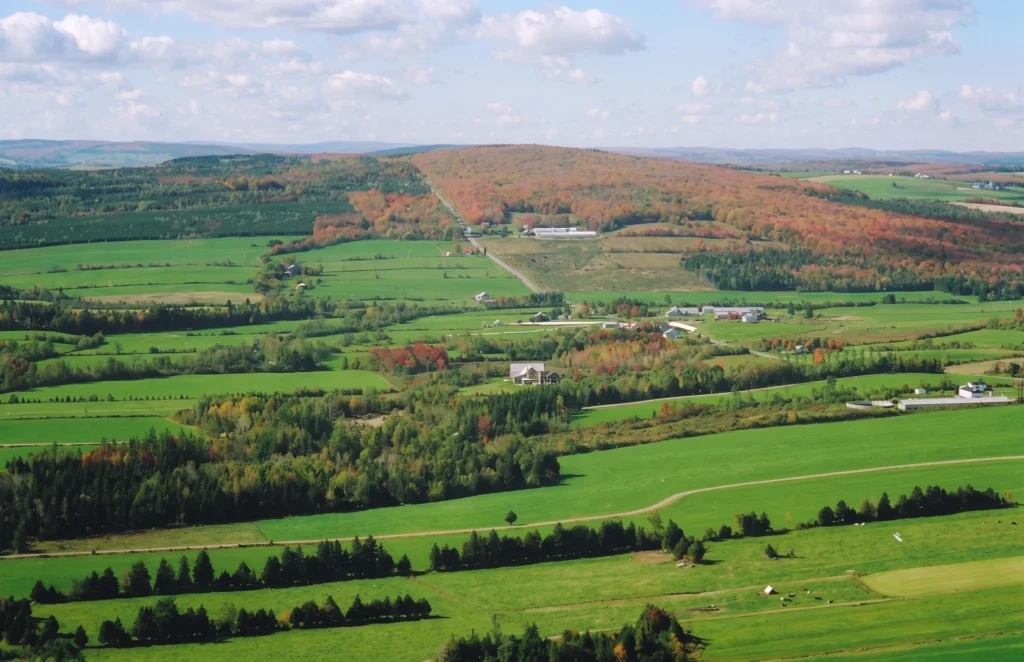 Les collines boisées de Saint-Sylvestre dans les Appalaches