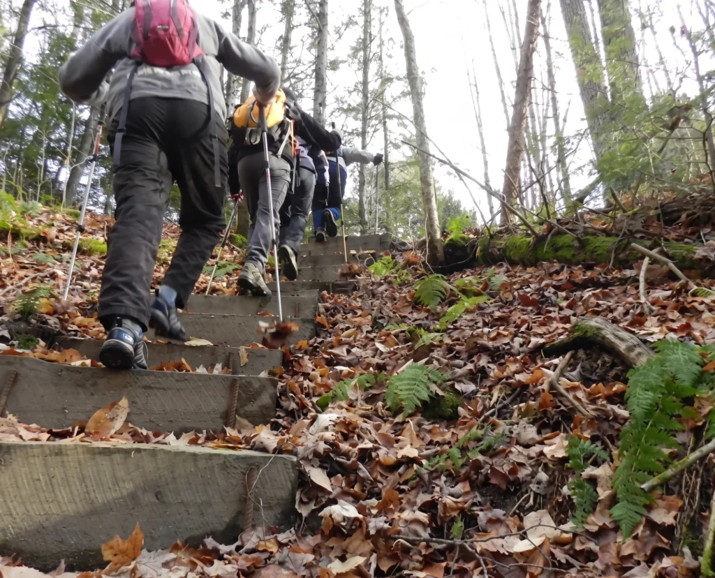 Randonneurs dans un escalier de sentier de la Forêt de la Seigneurie de Lotbinière