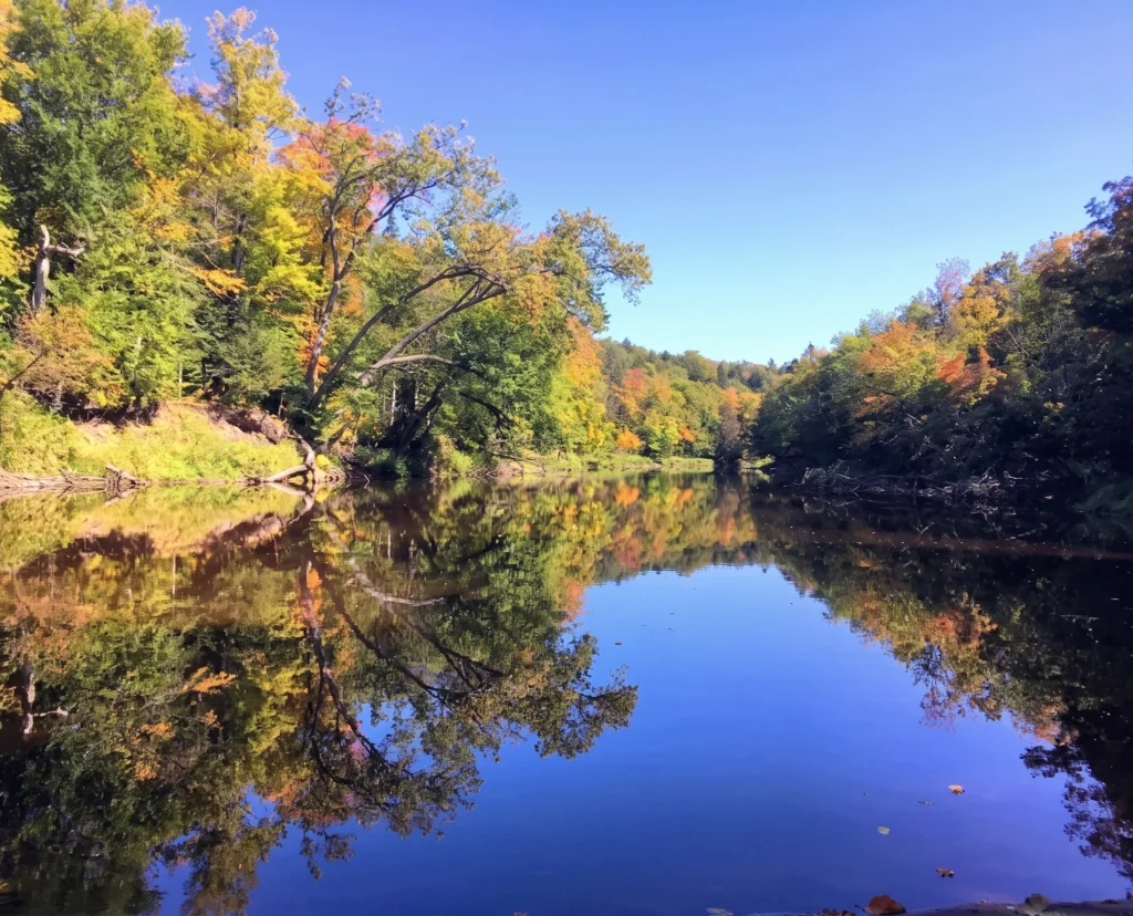 Rivière bordée de forêt aux couleurs d'automne, Forêt de la Seigneurie de Lotbinière