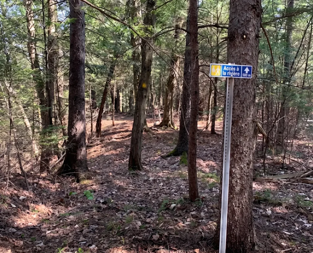Forêt et sous-bois de la Forêt de la Seigneurie de Lotbinière