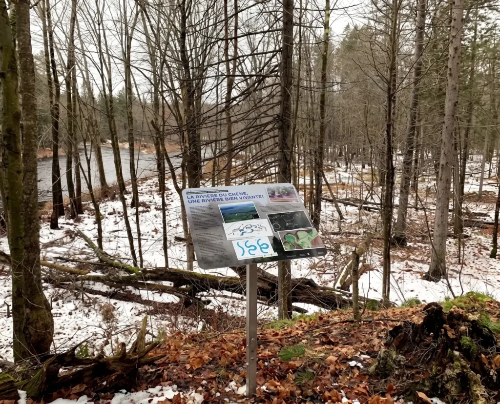 Panneau d'interprétation sur un sentier de la Forêt de la Seigneurie de Lotbinière