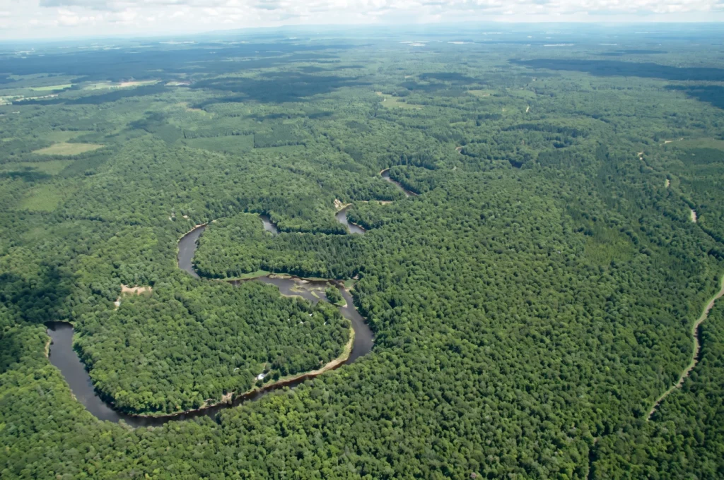 Vue aérienne de la Forêt de la Seigneurie de Lotbinière et de sa rivière