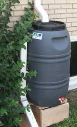 Baril récupérateur d'eau de pluie